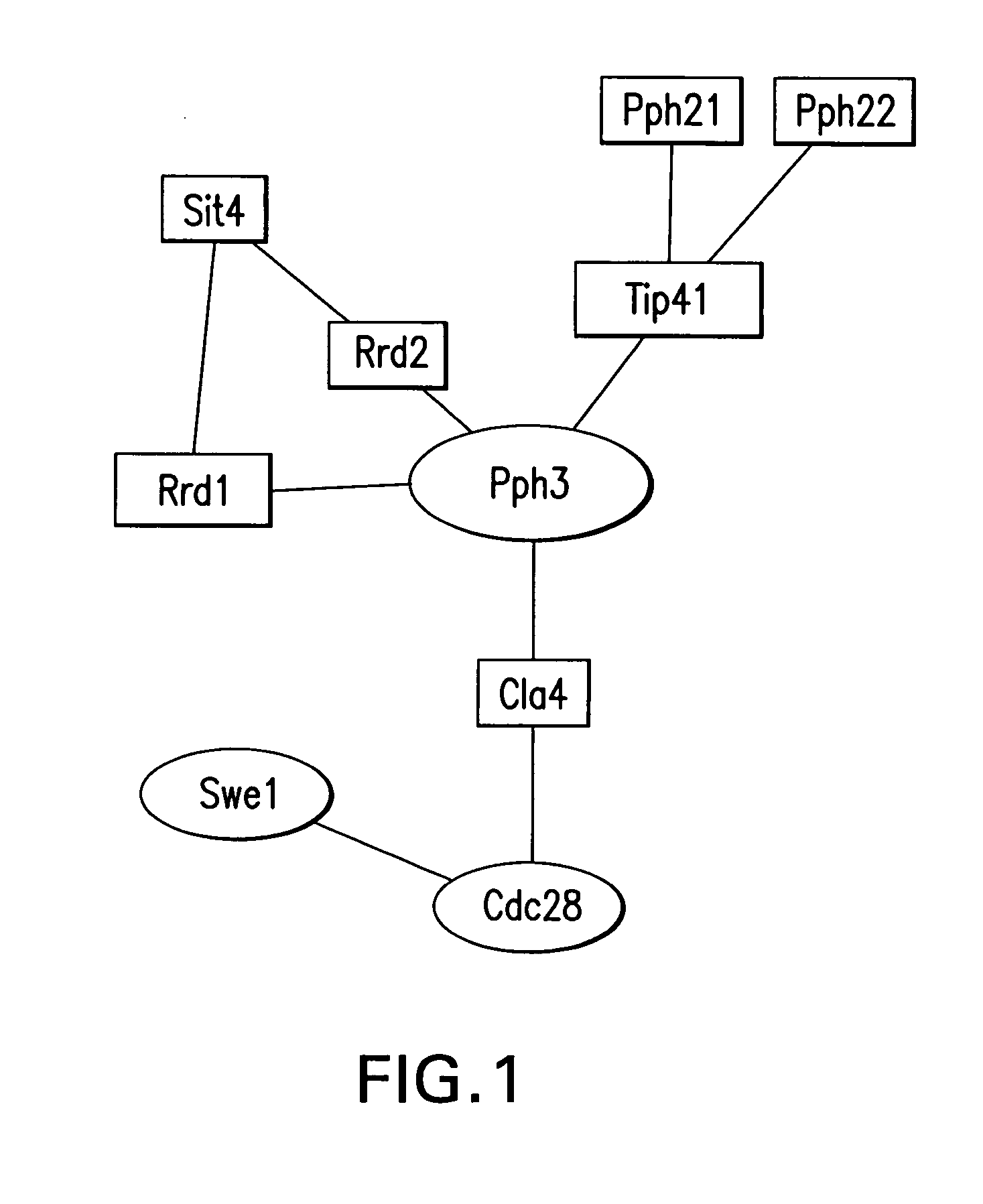 Method for providing protein microarrays