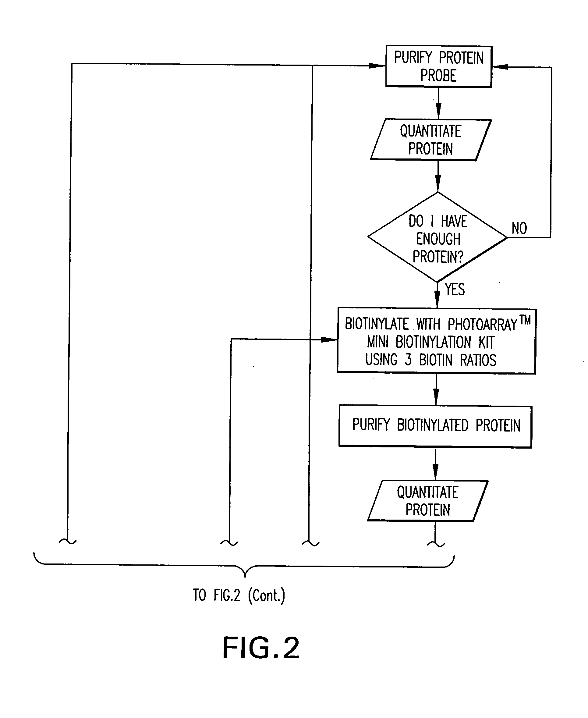 Method for providing protein microarrays