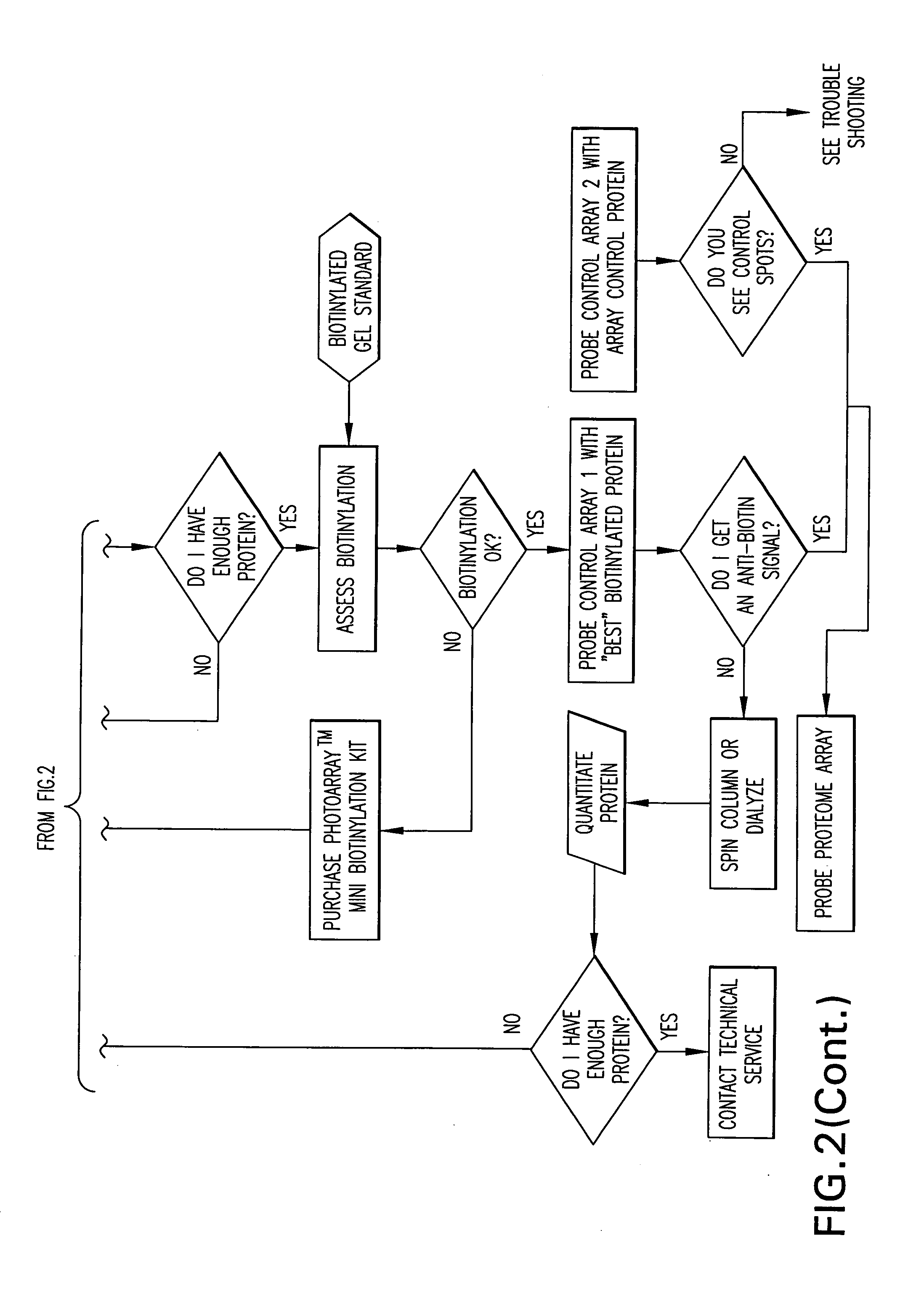 Method for providing protein microarrays