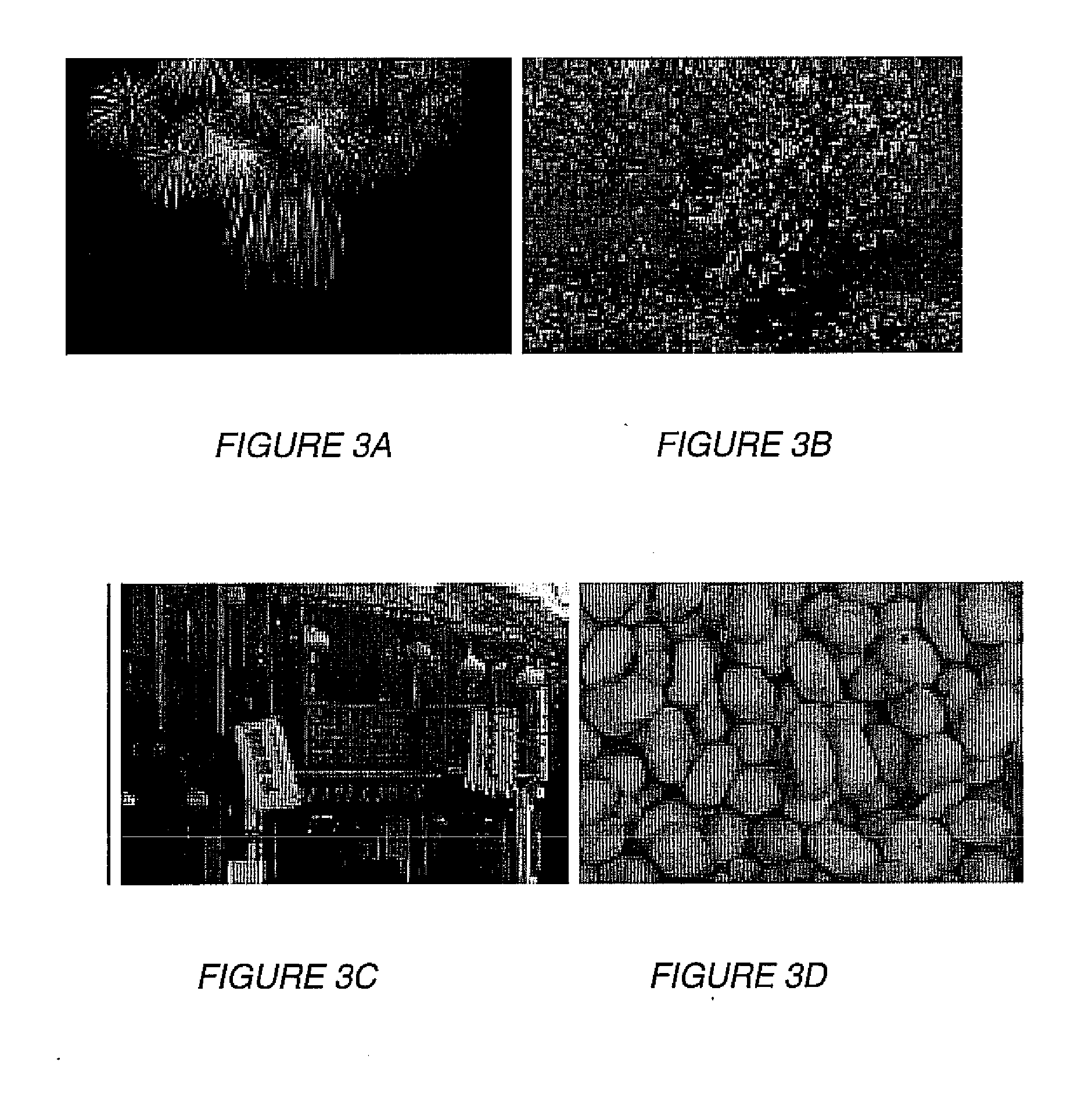 Studying aesthetics in photographic images using a computational approach