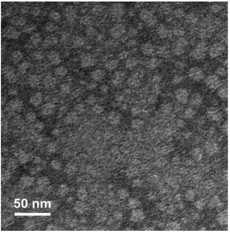 Micelle polypeptide vaccine with poly(ethylene glycol)-phosphatidylethanolamine as carrier