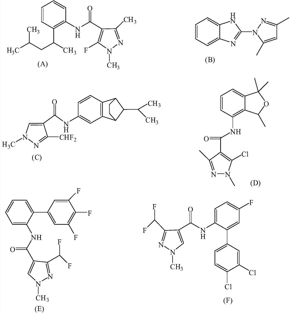 Method for detecting a plurality of pyrazoles bactericides in wine by solid phase extraction, liquid chromatogram and tandem mass spectrum