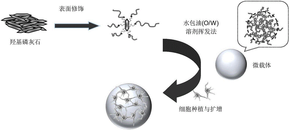 Cell microcarrier and preparation method thereof