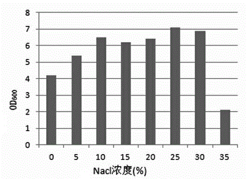 Salt-resistance Bacillusmethylotrophicus strain LJ and application thereof