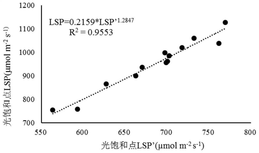 Method for predicting photosynthetic gas exchange parameters by utilizing lettuce chlorophyll fluorescence parameters