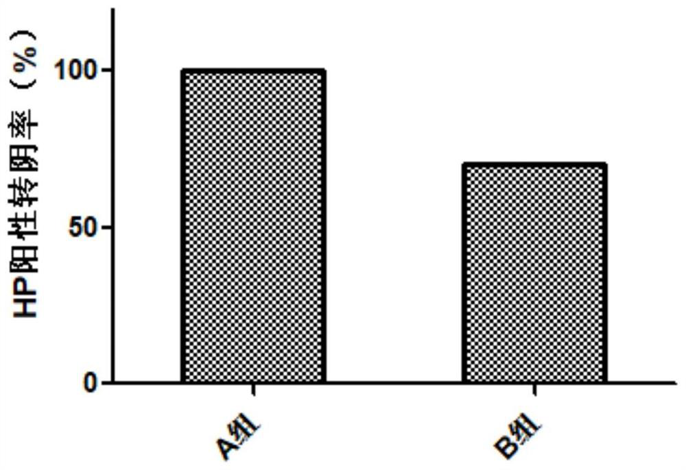 A composition capable of alleviating bad breath and its application