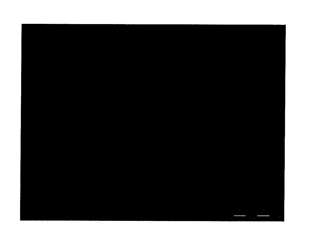 Methods for embryonic stem cell culture