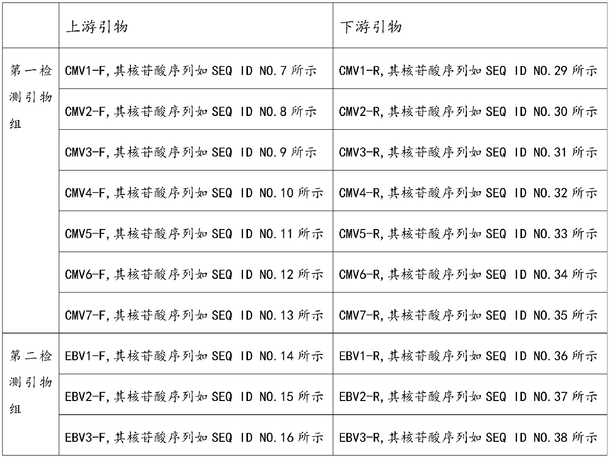 Detection primer group, detection reagent and sequencing library for detecting organ transplantation postoperative infection