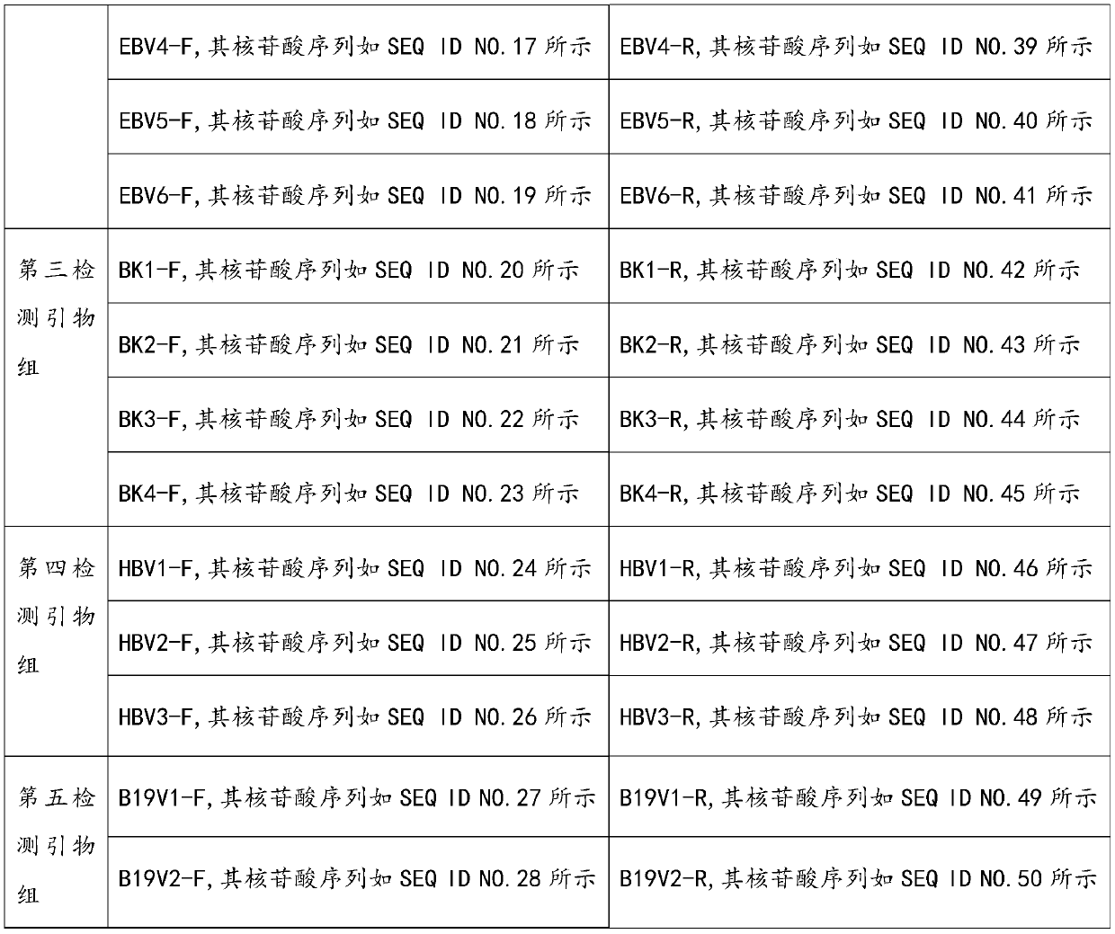 Detection primer group, detection reagent and sequencing library for detecting organ transplantation postoperative infection