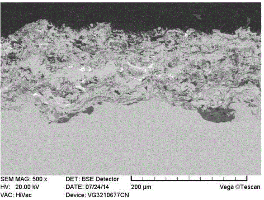 Wide temperature region viscosity corrosion resisting solid self-lubricating coating and preparation method thereof