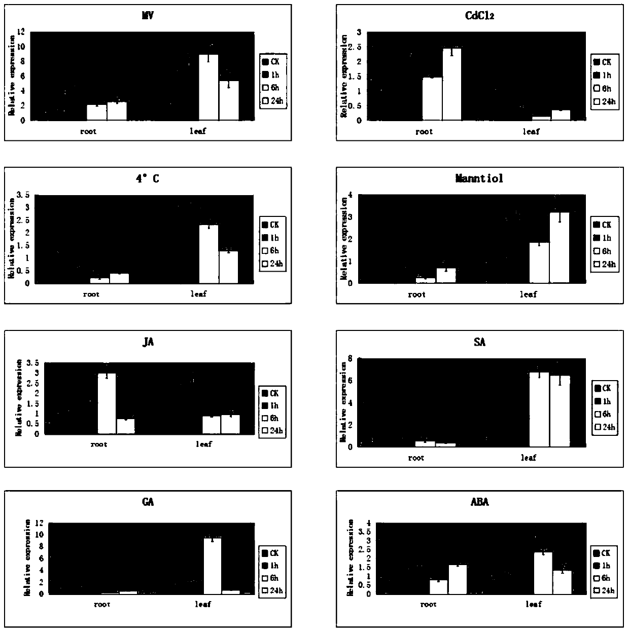 New application of banana antioxidant-related protein mabbi1 and its gene