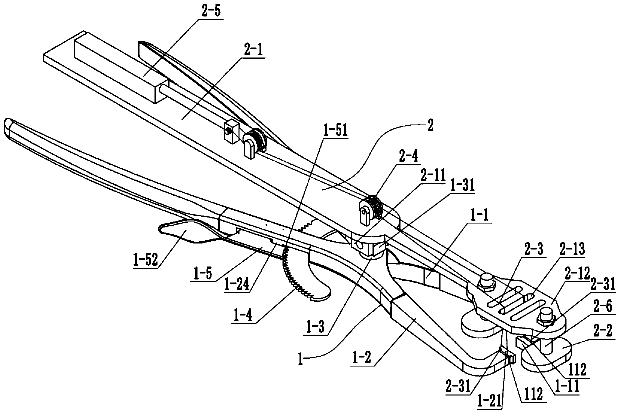 Automatic tooth extraction equipment