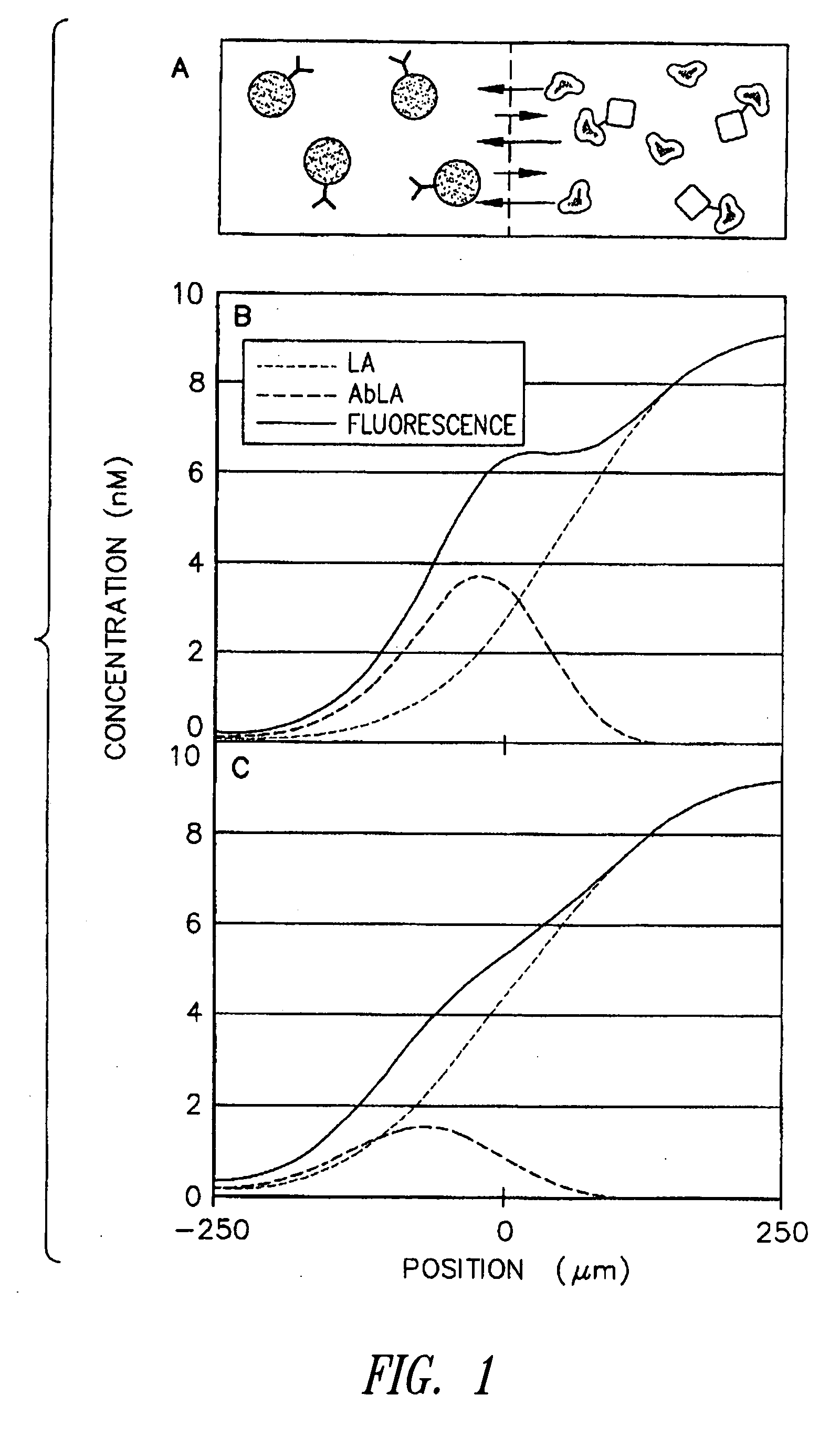 Microscale diffusion immunoassay utilizing multivalent reactants