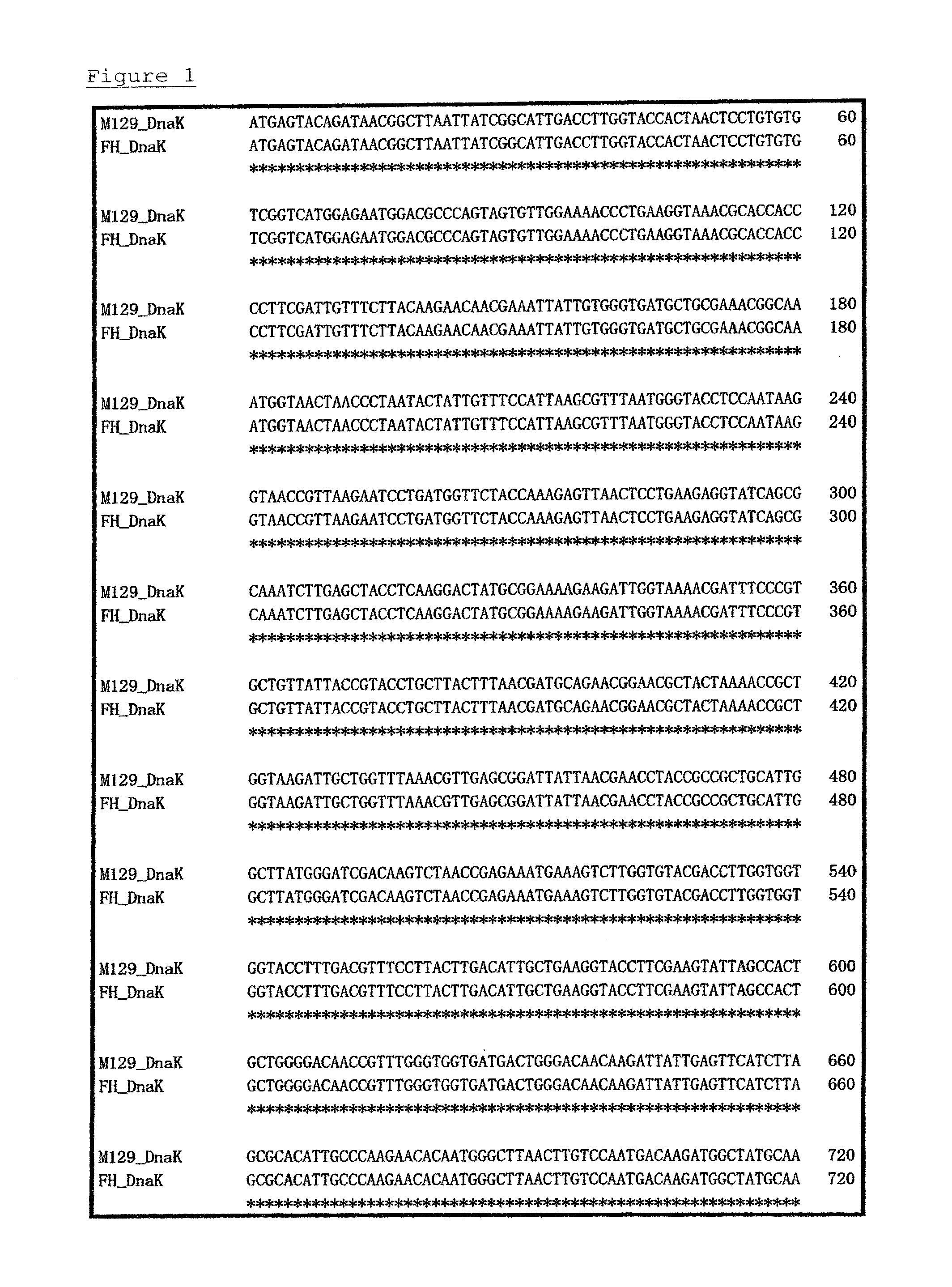 Method for detecting microorganisms belonging to <i>Mycoplasma pneumoniae </i>and/or <i>Mycoplasma genitalium</i>