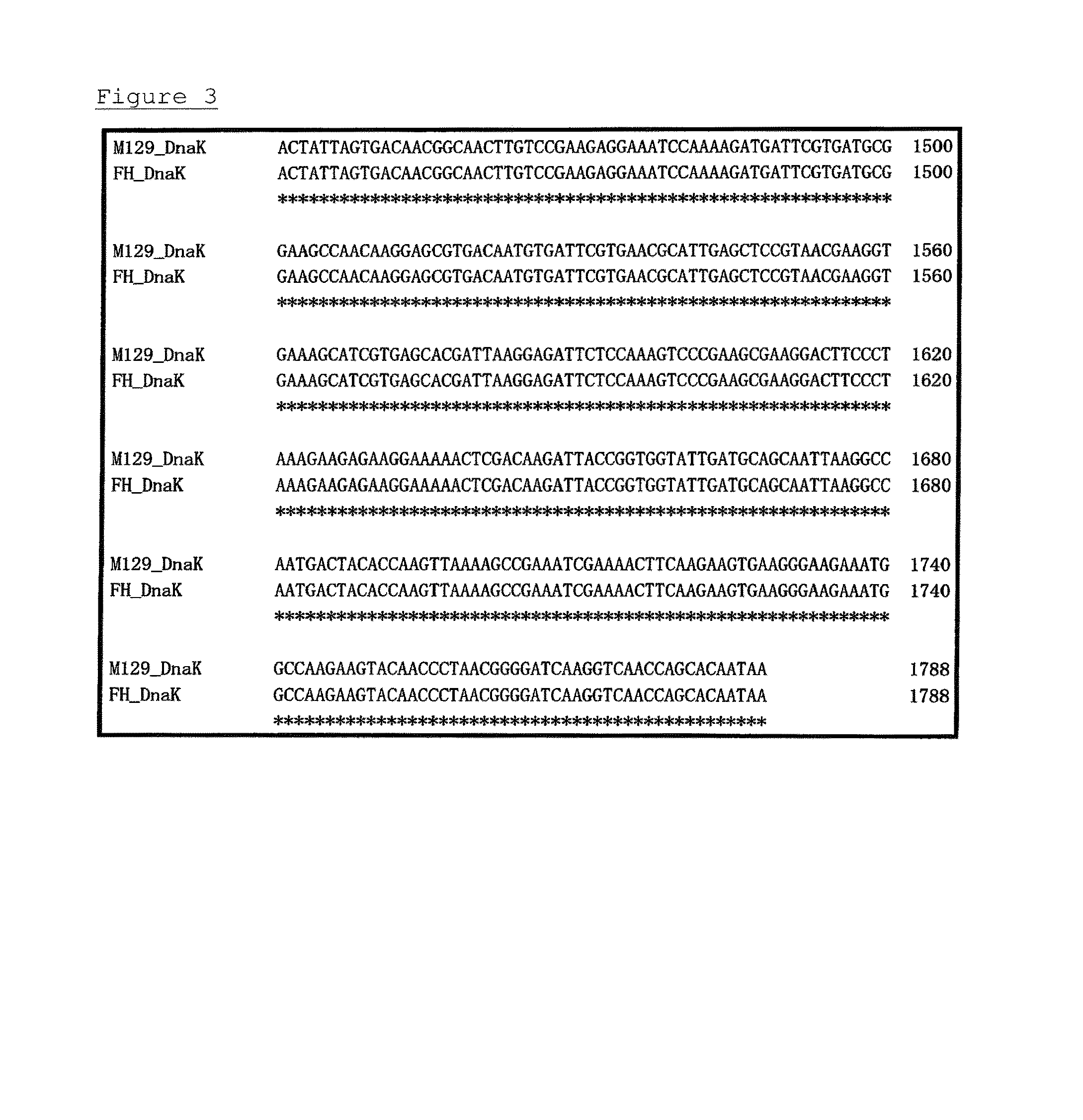 Method for detecting microorganisms belonging to <i>Mycoplasma pneumoniae </i>and/or <i>Mycoplasma genitalium</i>