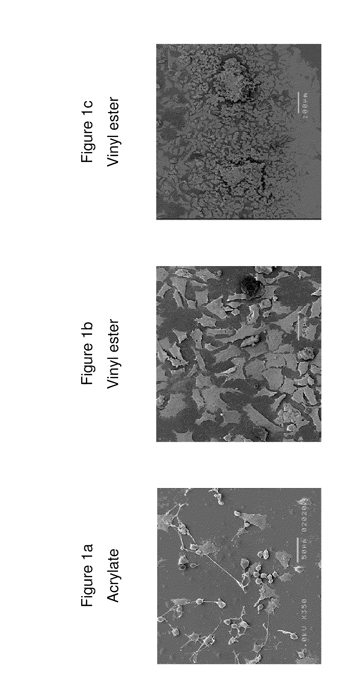 Composition that can be cured by polymerisation for the production of biodegradable, biocompatible, cross-linkable polymers on the basis of polyvinyl alcohol