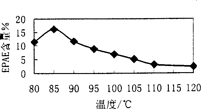 Pure ursine fat, and its prepn. method