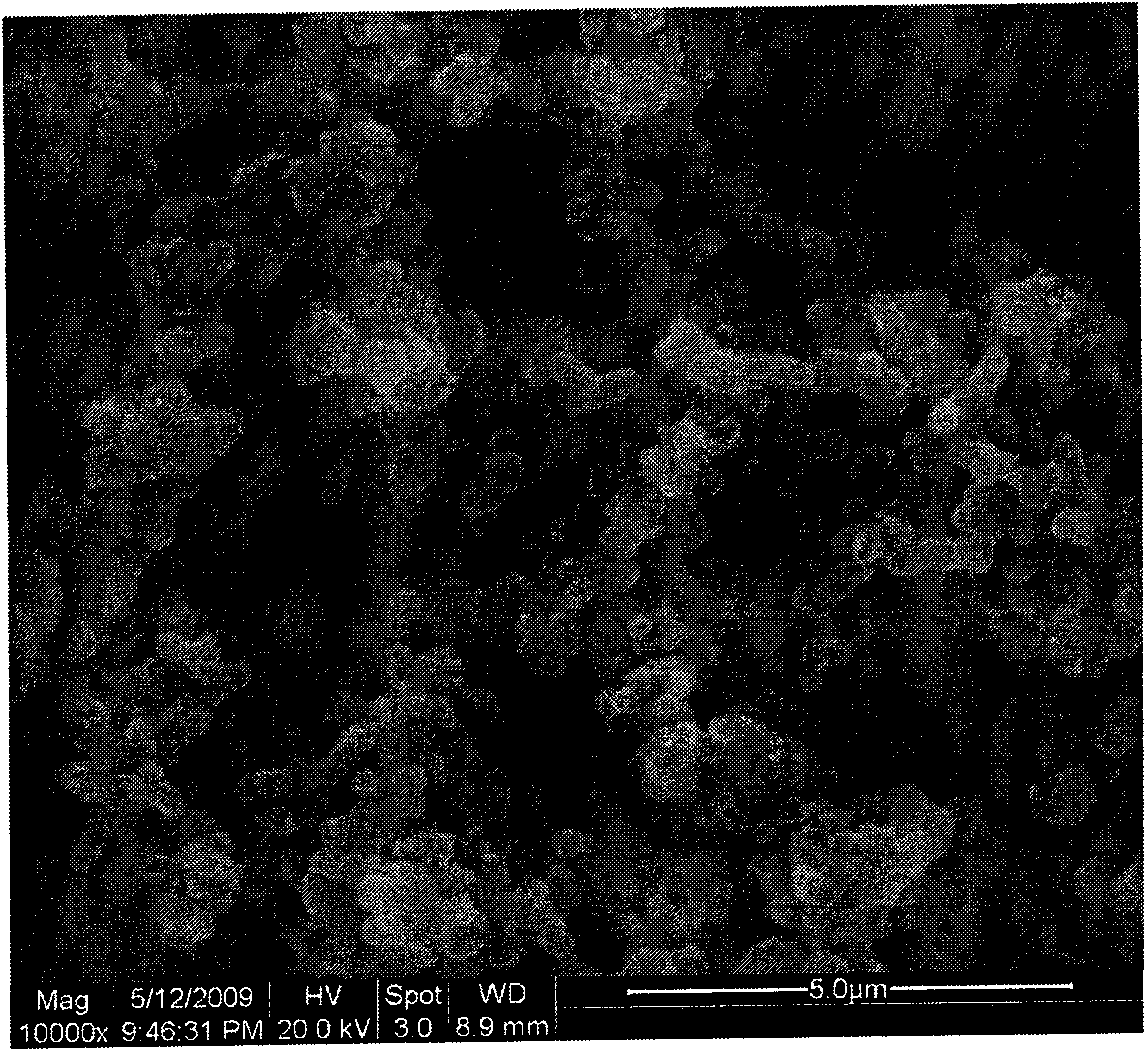 Preparation method of carbon nano tube/polyaniline netty compound material