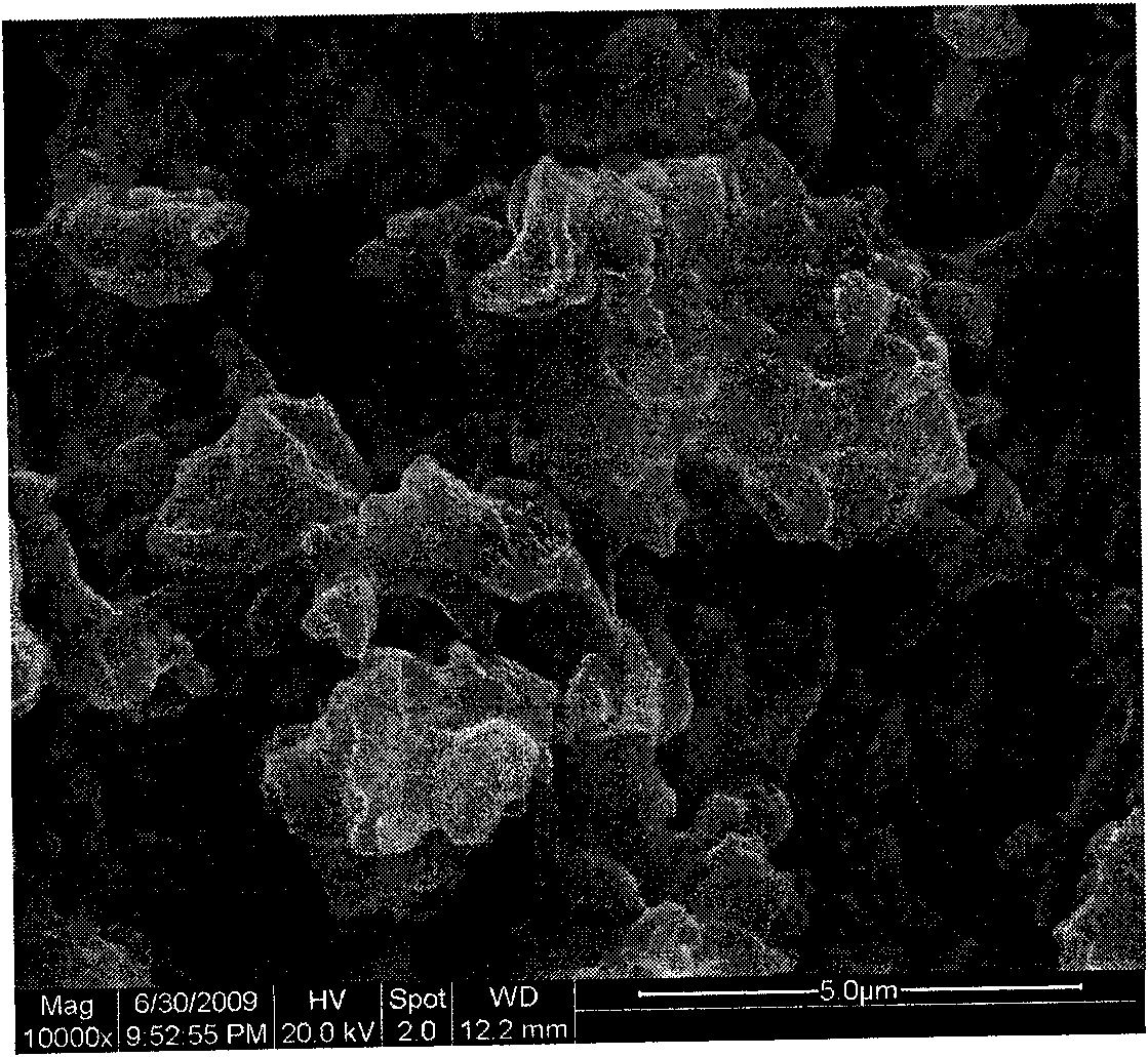 Preparation method of carbon nano tube/polyaniline netty compound material