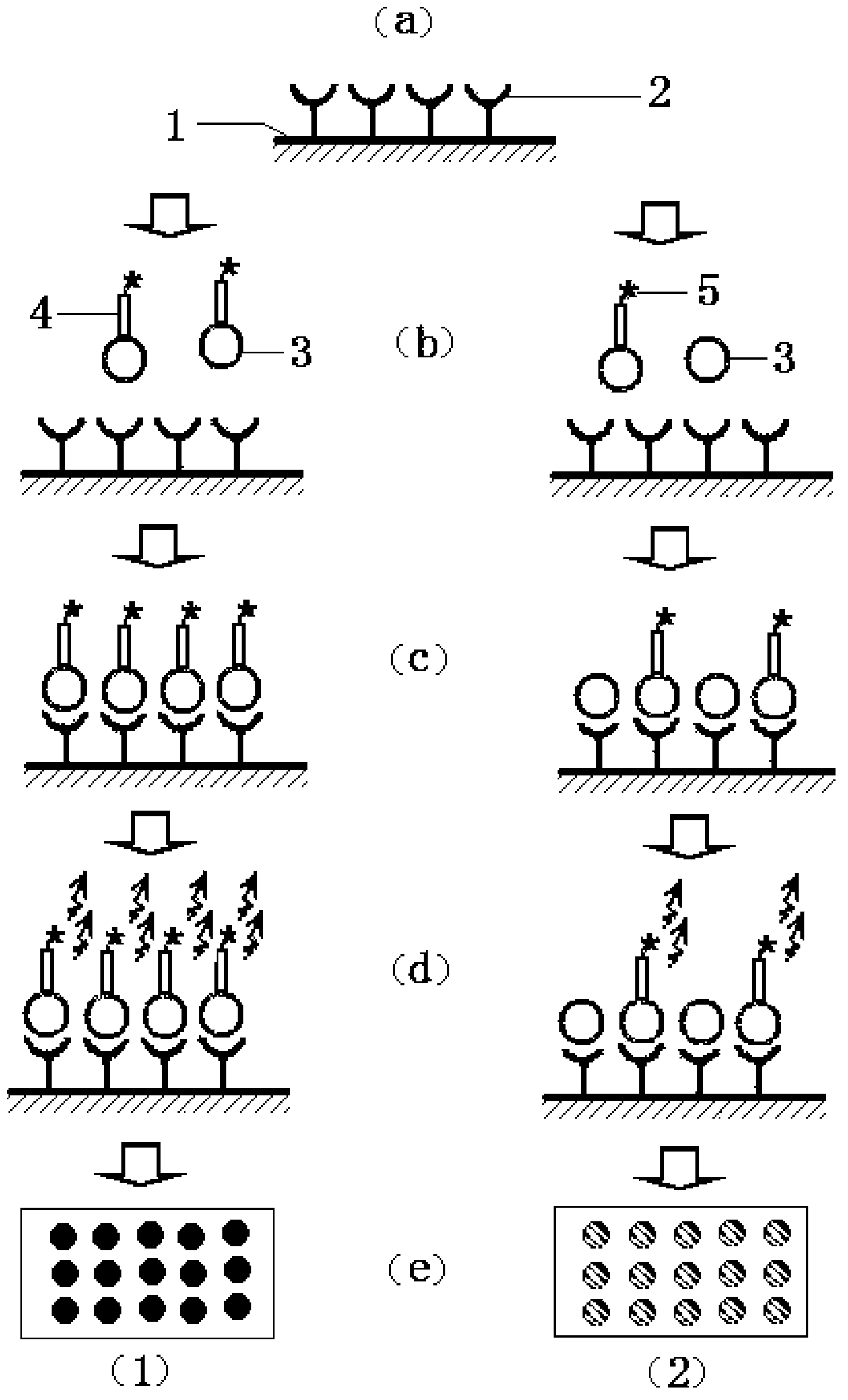 Pesticide and veterinary drug multi-residue detection method based on microarray detection chip