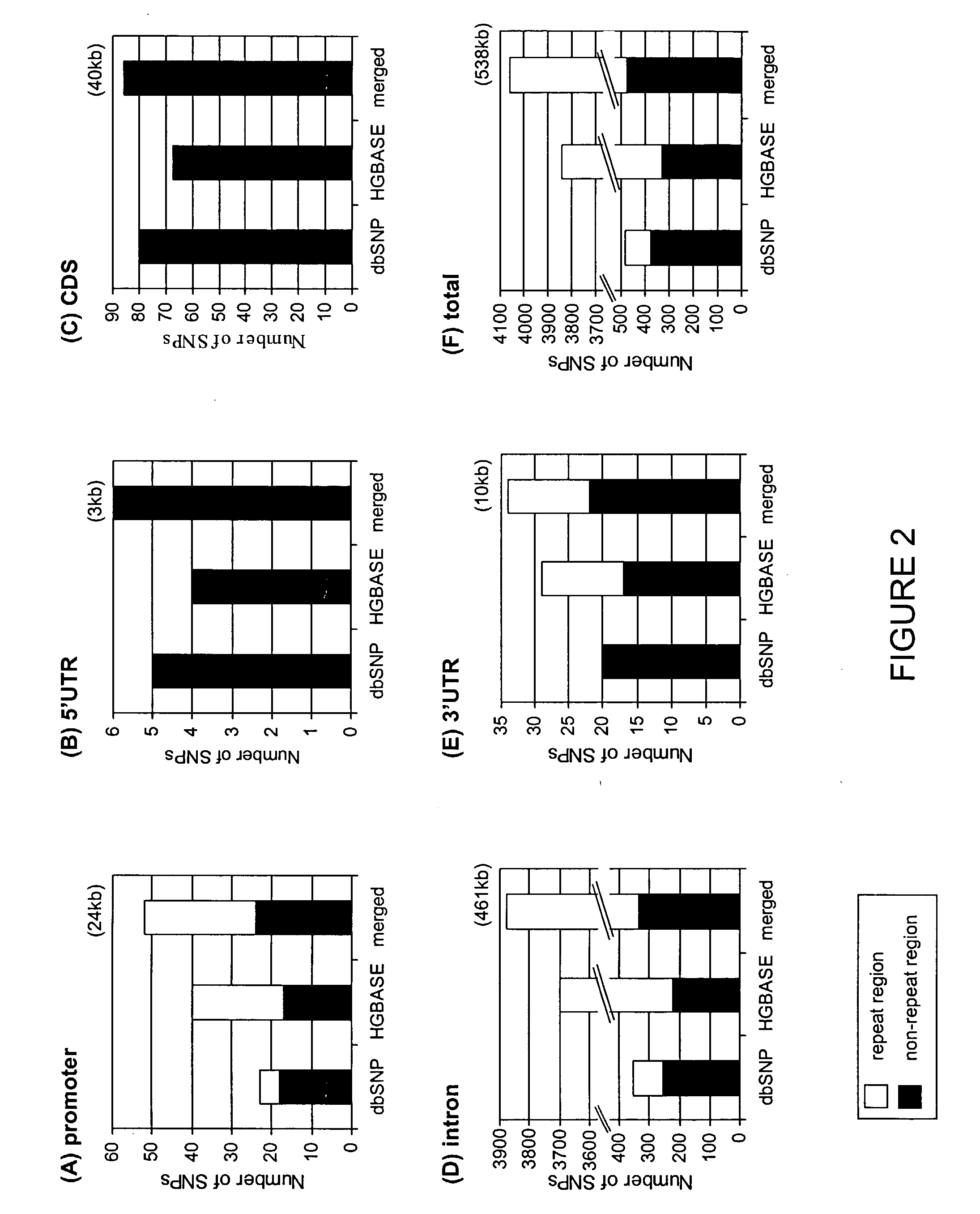 Data mining of SNP databases for the selection of intragenic SNPs