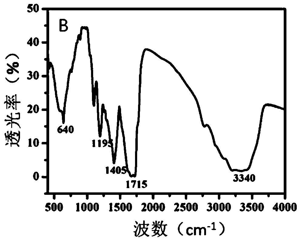 DNA or RNA detection system, detection method and application thereof