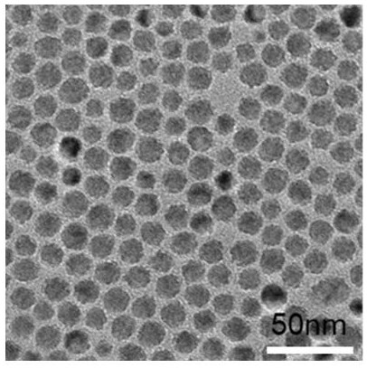 Complete gradient alloy quantum dot and preparation method thereof