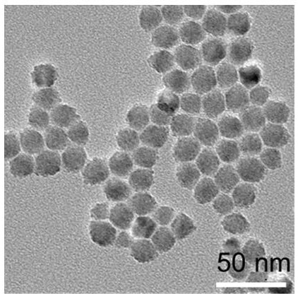 Complete gradient alloy quantum dot and preparation method thereof