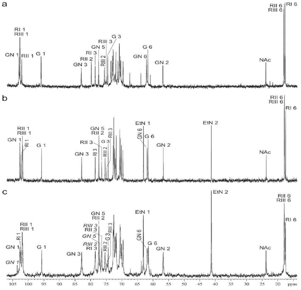 Primers for serotype detection of Shigella flexneri and multiplex amplification using the primers