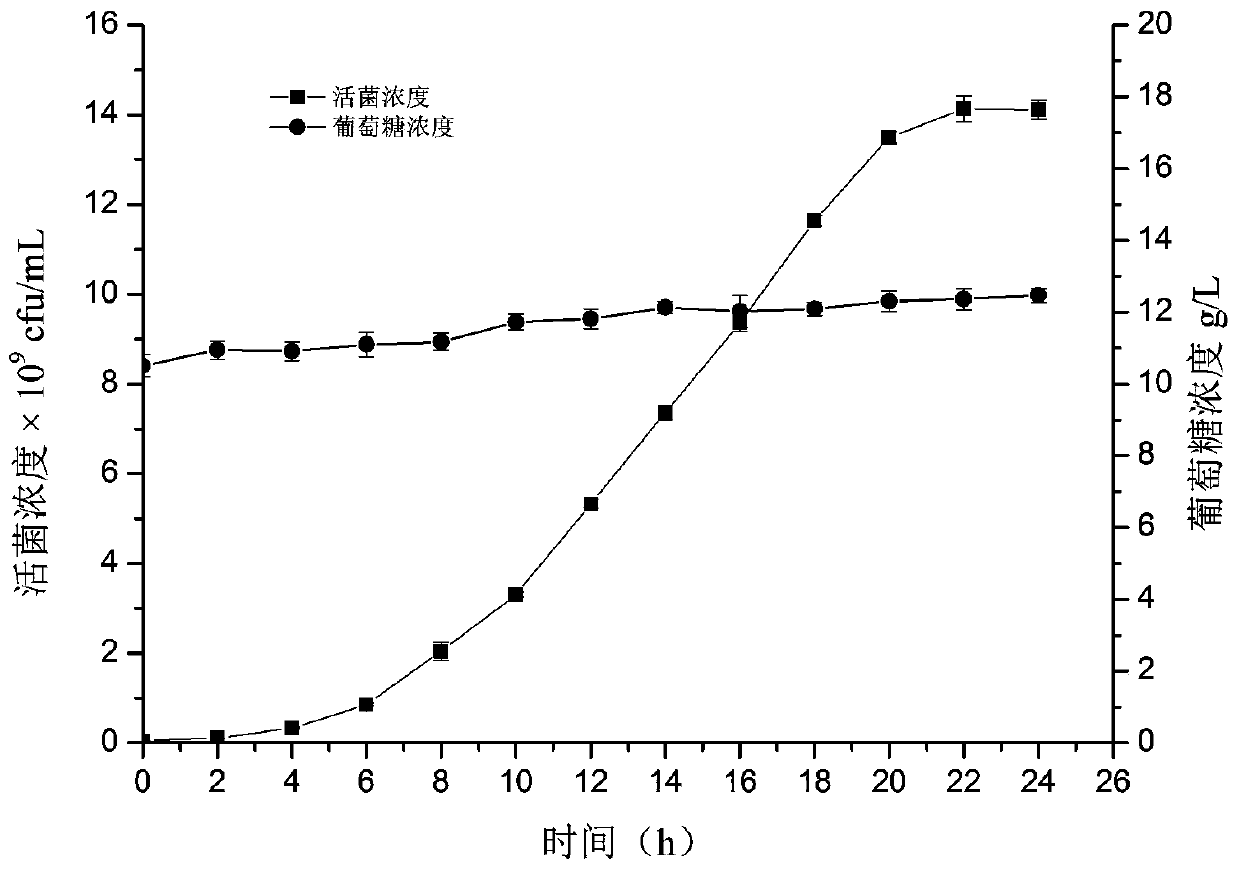 An automatic feedback feeding method for high-density culture of lactic acid bacteria