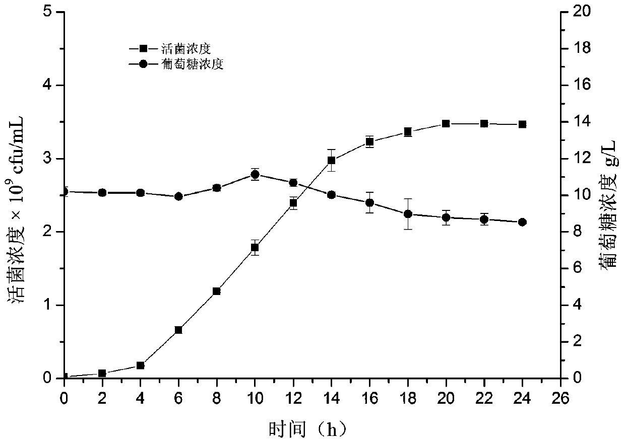 An automatic feedback feeding method for high-density culture of lactic acid bacteria