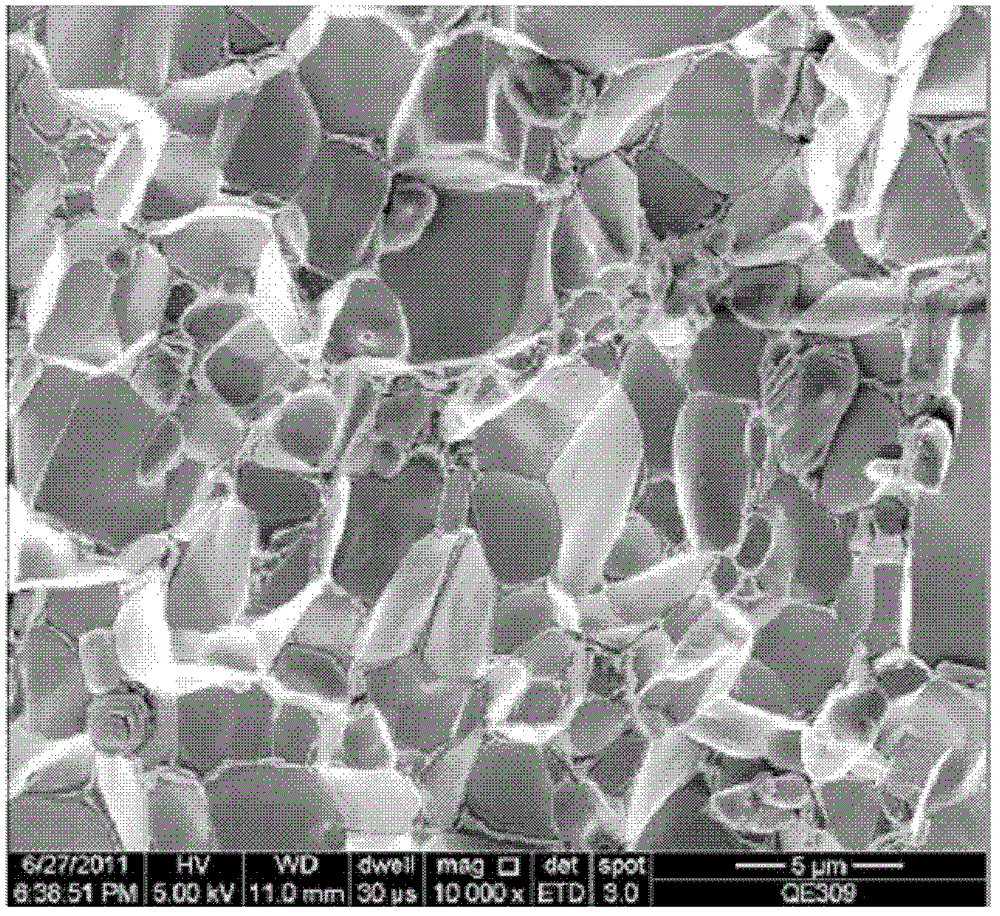 A kind of preparation method of fine-grained anisotropic densified NdFeB permanent magnet