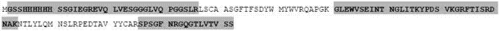 Anti-TNF-[alpha] nanobody and genetic engineering expression thereof