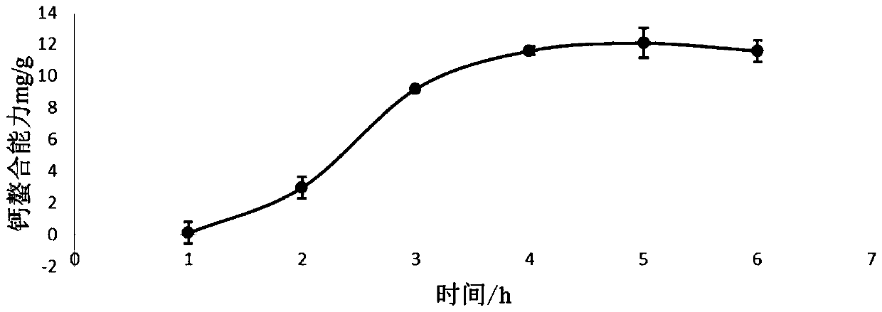 Calcium chelating peptide as well as preparation method and application thereof