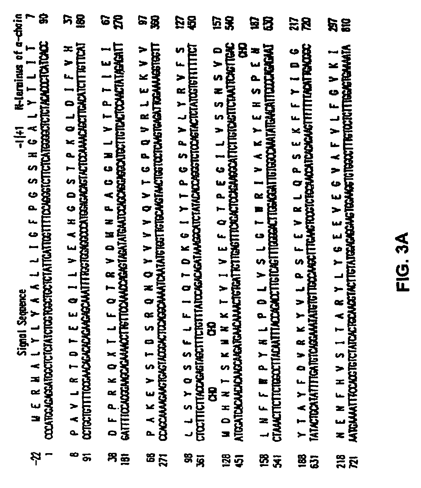 Human complement C3 derivates with cobra venom factor-like function