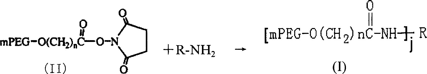 Polyethylene glycol modified L-asparaginyl amine enzyme