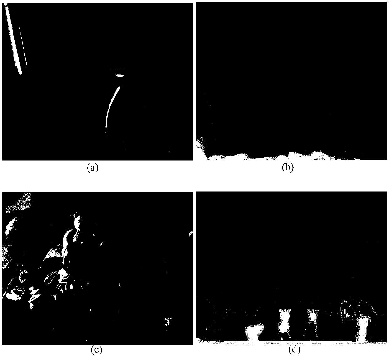 Depth Map Upsampling Method Based on Shortest Joint Path