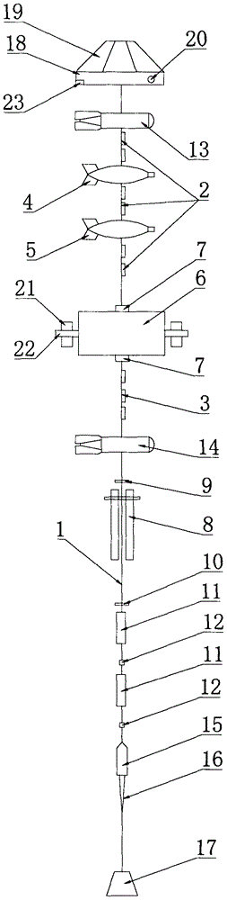 Submerged buoy applied to marine observation