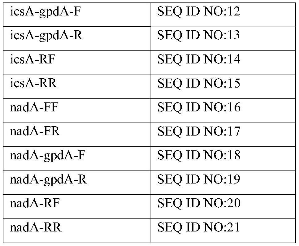 Method and bacterial strain for producing l-alanine from lactic acid