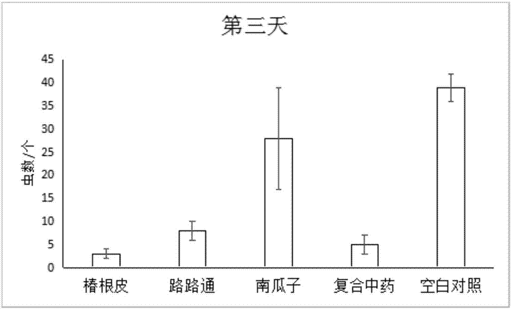 Composite traditional Chinese medicine for preventing fish dactylogyrosis and preparation and use method thereof