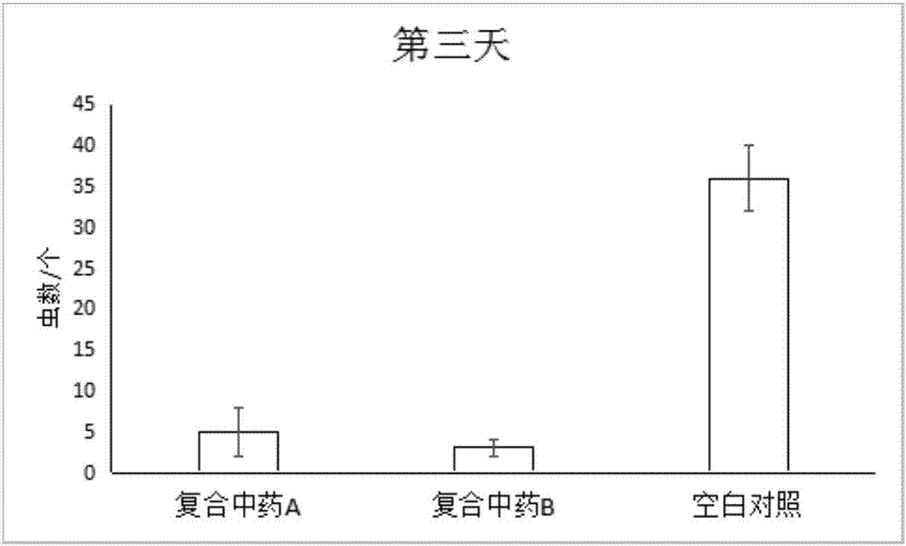 Composite traditional Chinese medicine for preventing fish dactylogyrosis and preparation and use method thereof