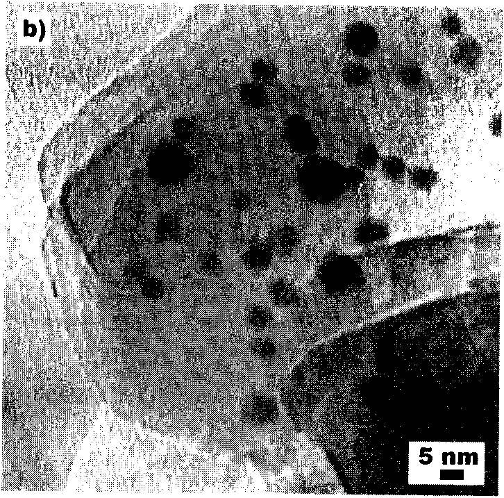 Method for preparing magnetic nano composite particles of FeCr alloy dispersed in ceramic crystal grain