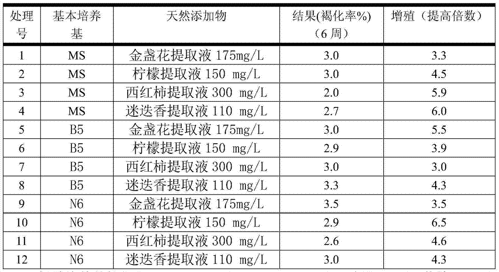 Browning-prevention Phalaenopsis amabilis tissue culture method and browning-prevention culture medium