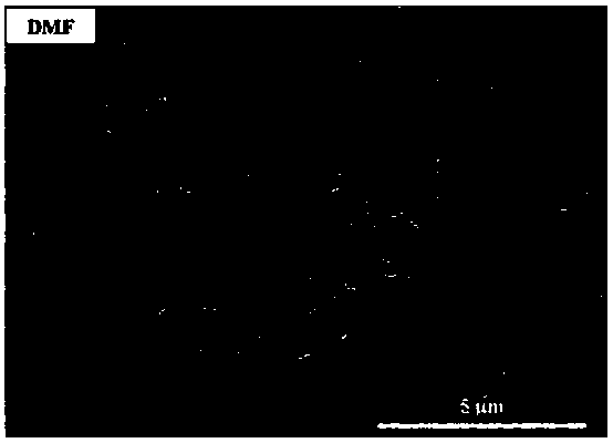 Solvent and method for preparing high-performance metal halide perovskite film, and application