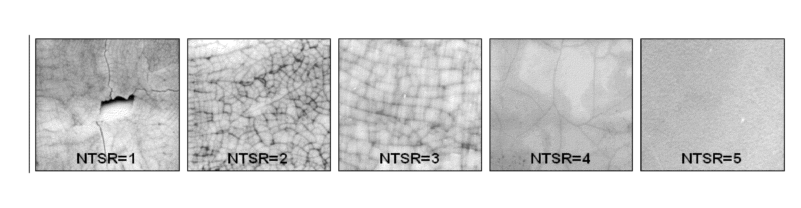 Porous pyrolysis reactor materials and methods