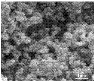 A kind of titanium nitride powder based on low temperature liquid phase method and its preparation method