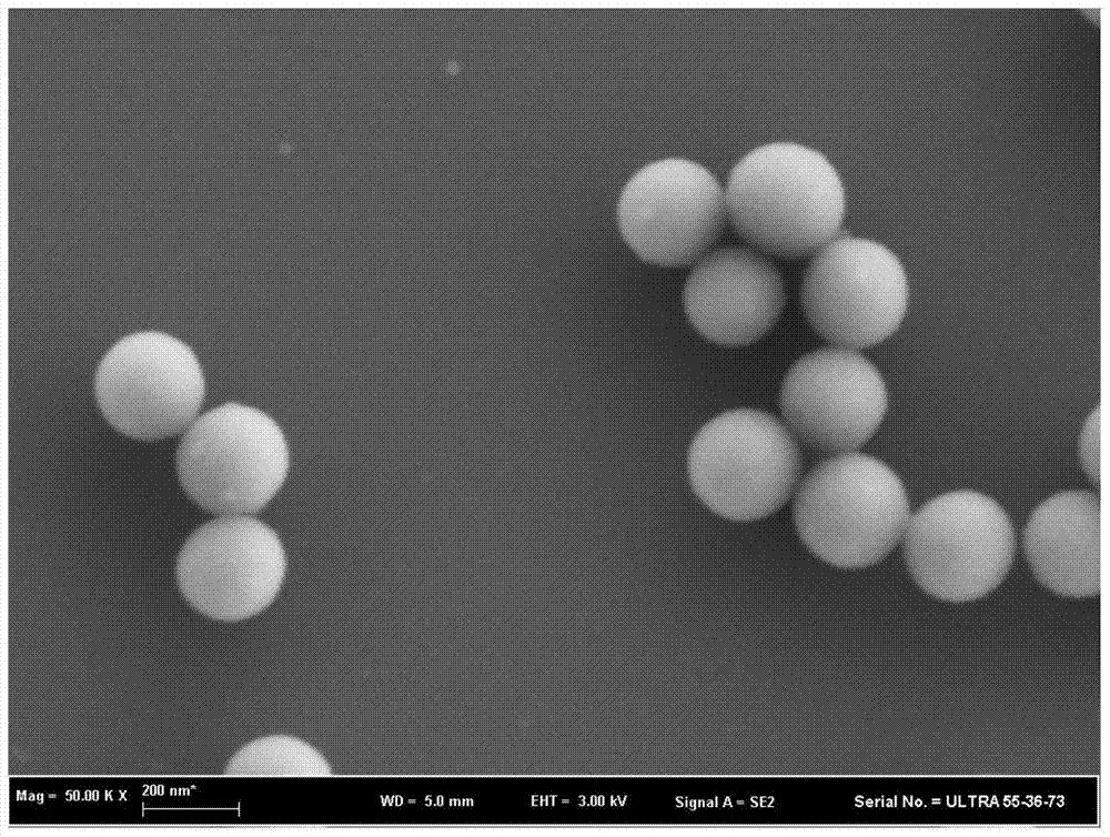 A renewable sio  <sub>2</sub> Preparation method of /pam core-shell composite nano antibacterial particles