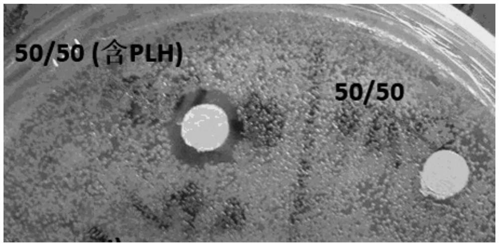 Fully-degradable antibacterial food packaging film and preparation method thereof