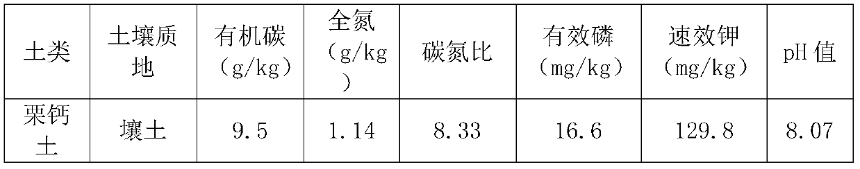 Special bio-organic fertilizer for beta vulgaris and preparation method of bio-organic fertilizer