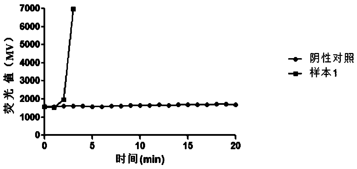 Primer group, probe and kit for detection of Schistosoma mansoni